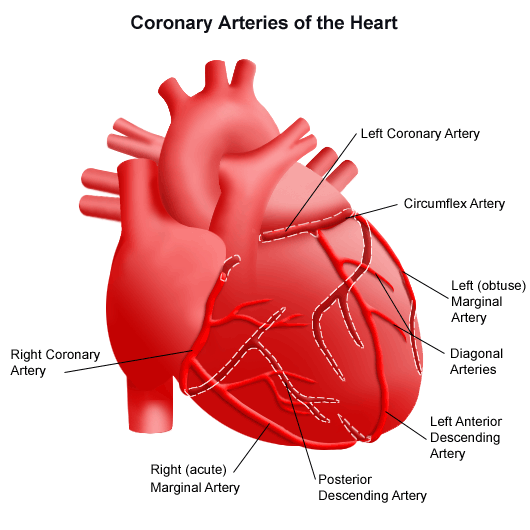 Anomalous Coronary Artery | Stanford Health Care