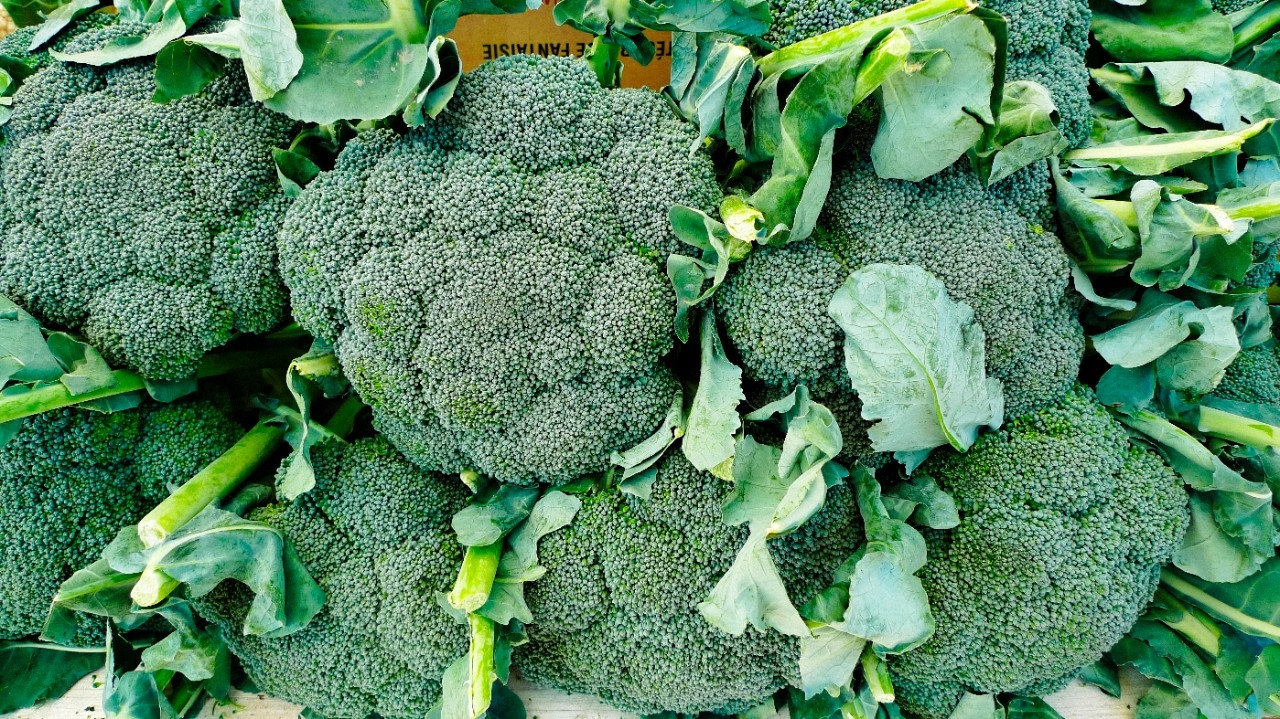 Image of basil-broccoli.jpg