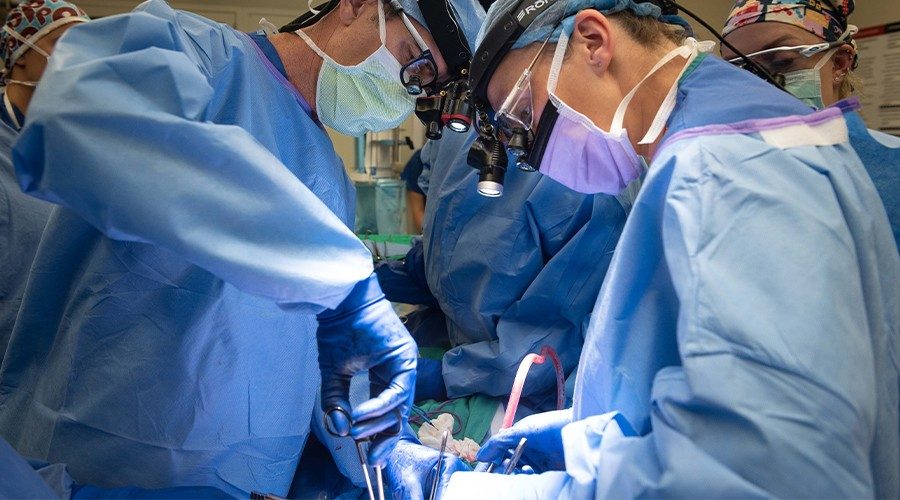 Physicians Perform SHC’s First Autologous Islet Transplants
