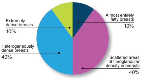 graph showing % of people with dense breasts
