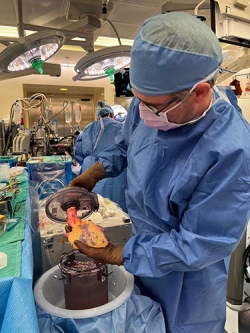 Brandon Guenthart, MD inspecting a donor heart prior to transplantation