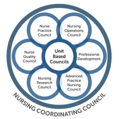 Nursing Coordinating Council